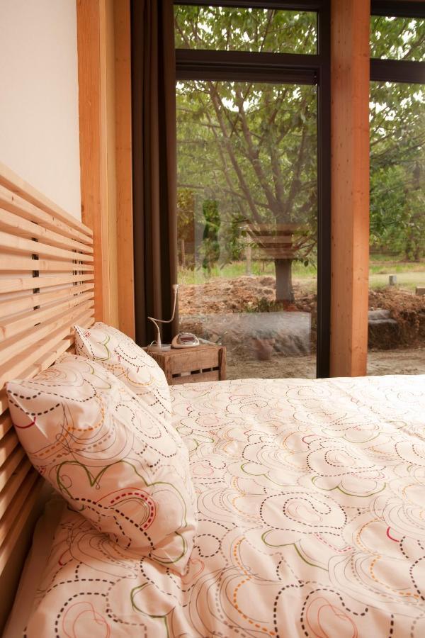 B&B Casa De Paja Sint-Truiden Ngoại thất bức ảnh